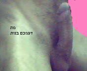 מחפש נשים 1