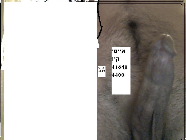 הנה אני בא 1