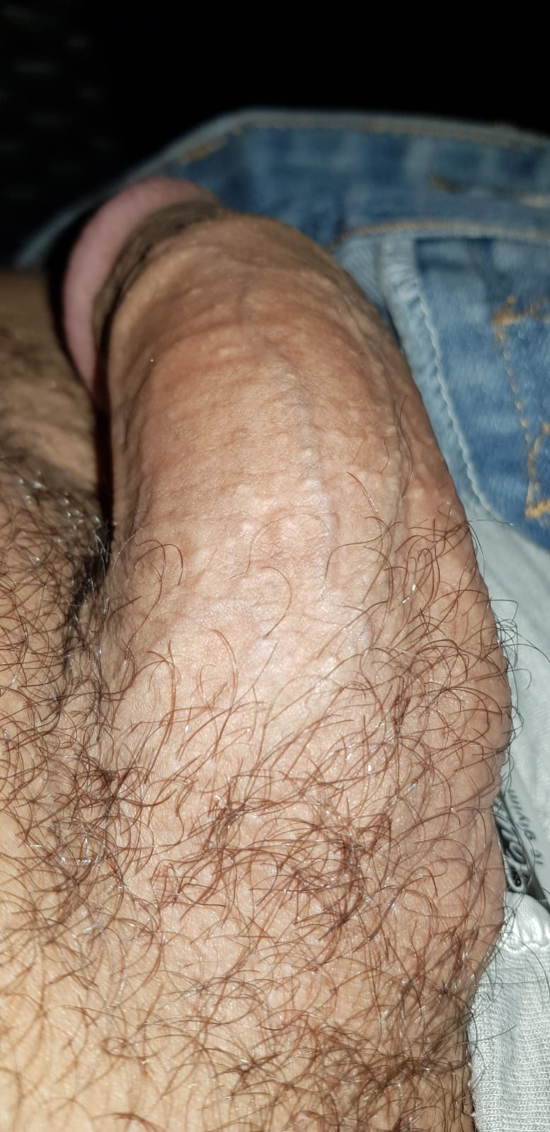 גבר לנשים וזוגות צפון  2
