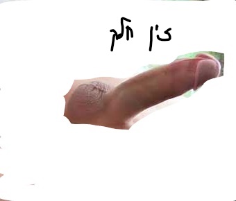 זין גדול וחלק למציצות וליקוקים 2